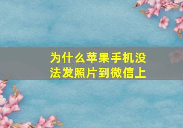 为什么苹果手机没法发照片到微信上