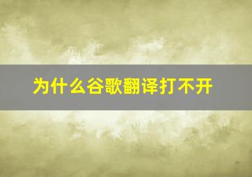 为什么谷歌翻译打不开