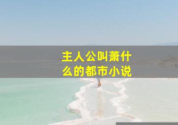 主人公叫萧什么的都市小说