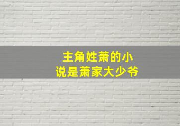 主角姓萧的小说是萧家大少爷