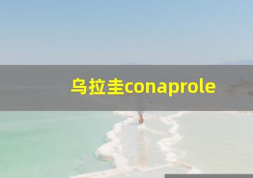 乌拉圭conaprole