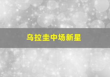 乌拉圭中场新星