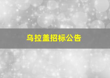 乌拉盖招标公告