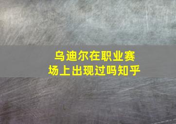 乌迪尔在职业赛场上出现过吗知乎