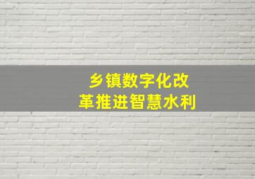 乡镇数字化改革推进智慧水利