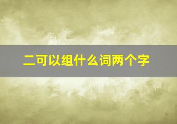 二可以组什么词两个字