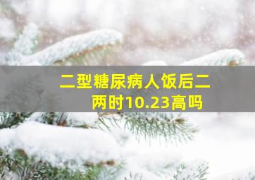 二型糖尿病人饭后二两时10.23高吗