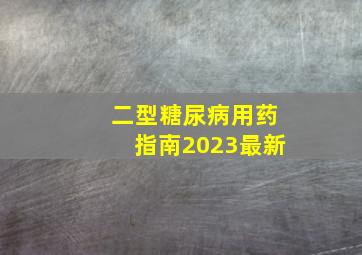 二型糖尿病用药指南2023最新