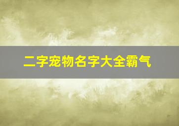 二字宠物名字大全霸气