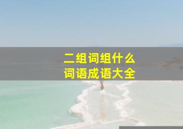 二组词组什么词语成语大全