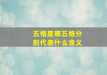 五格是哪五格分别代表什么含义