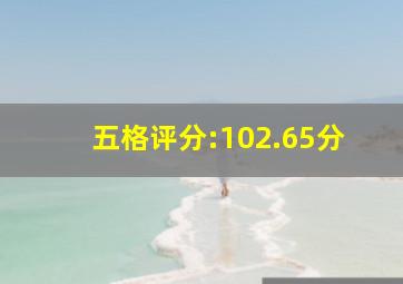 五格评分:102.65分