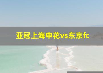 亚冠上海申花vs东京fc