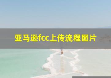 亚马逊fcc上传流程图片