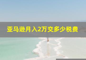 亚马逊月入2万交多少税费