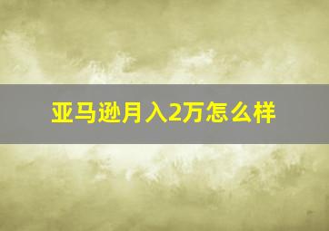 亚马逊月入2万怎么样