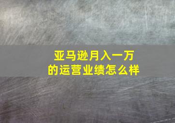 亚马逊月入一万的运营业绩怎么样