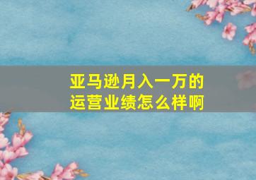 亚马逊月入一万的运营业绩怎么样啊