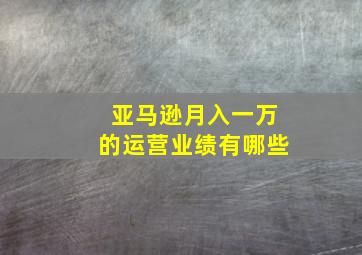 亚马逊月入一万的运营业绩有哪些