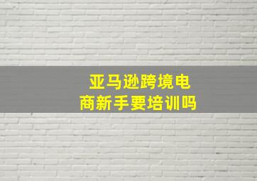 亚马逊跨境电商新手要培训吗