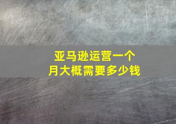 亚马逊运营一个月大概需要多少钱