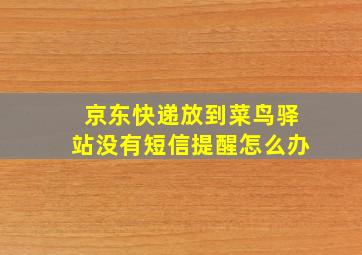 京东快递放到菜鸟驿站没有短信提醒怎么办