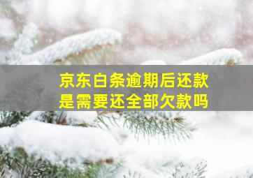 京东白条逾期后还款是需要还全部欠款吗