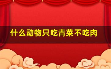 什么动物只吃青菜不吃肉