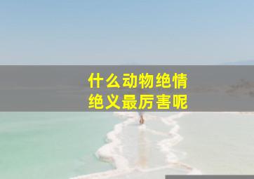 什么动物绝情绝义最厉害呢