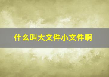 什么叫大文件小文件啊