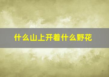 什么山上开着什么野花