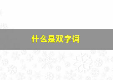 什么是双字词