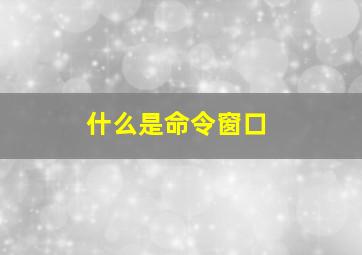 什么是命令窗口