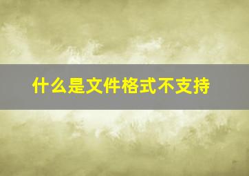 什么是文件格式不支持