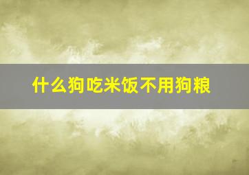 什么狗吃米饭不用狗粮