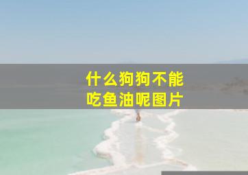 什么狗狗不能吃鱼油呢图片