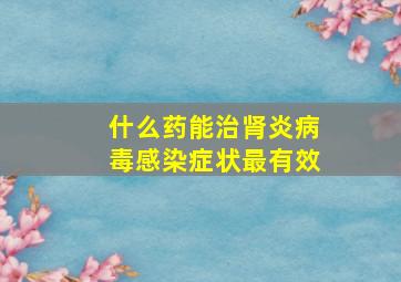 什么药能治肾炎病毒感染症状最有效