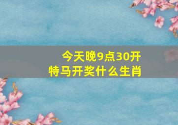 今天晚9点30开特马开奖什么生肖