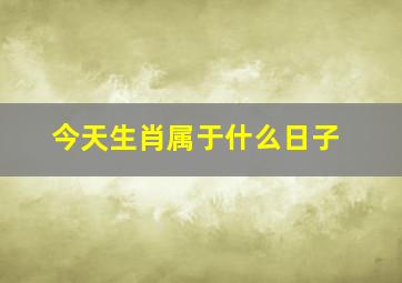 今天生肖属于什么日子