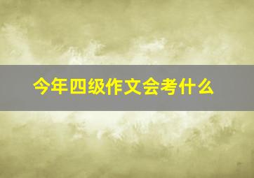 今年四级作文会考什么