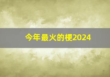 今年最火的梗2024