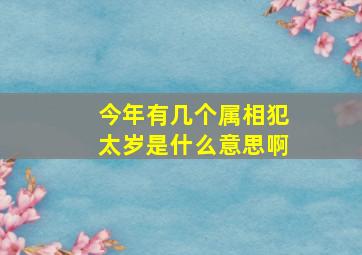 今年有几个属相犯太岁是什么意思啊