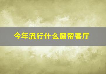 今年流行什么窗帘客厅