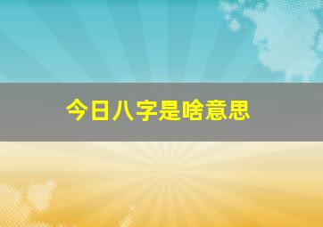 今日八字是啥意思