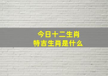 今日十二生肖特吉生肖是什么