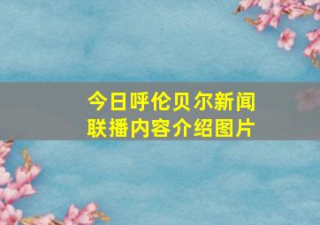 今日呼伦贝尔新闻联播内容介绍图片