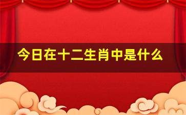 今日在十二生肖中是什么