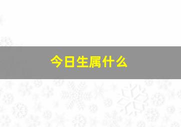 今日生属什么