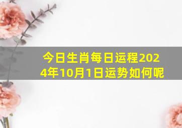 今日生肖每日运程2024年10月1日运势如何呢