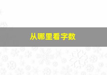 从哪里看字数